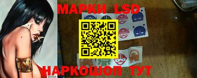 прущие грибы Можайск