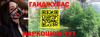 стаф Можга