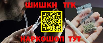 стаф Можга