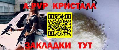 стаф Можга