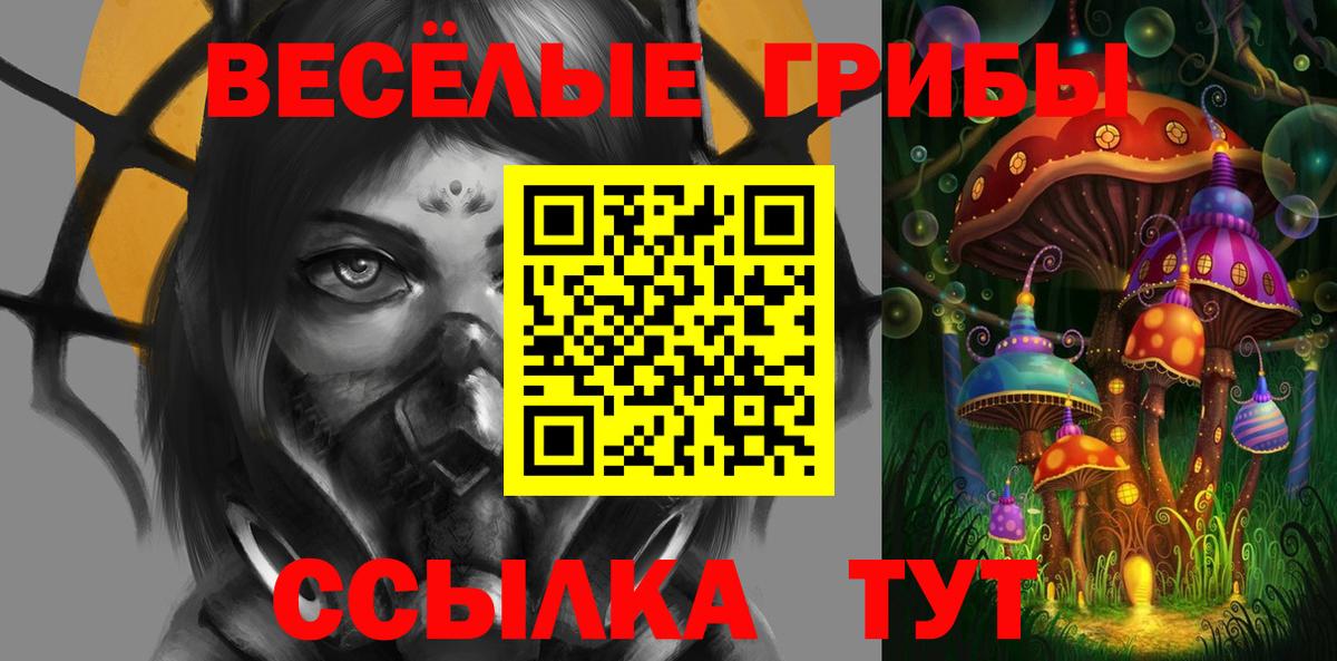 Псилоцибиновые грибы GOLDEN TEACHER  купить наркотики цена  Сердобск  Вход с VPN 