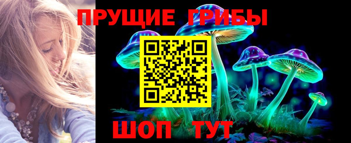Псилоцибиновые грибы MAGIC MUSHROOMS Сердобск